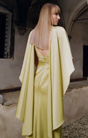 Symmetrical Hood - Aerenica