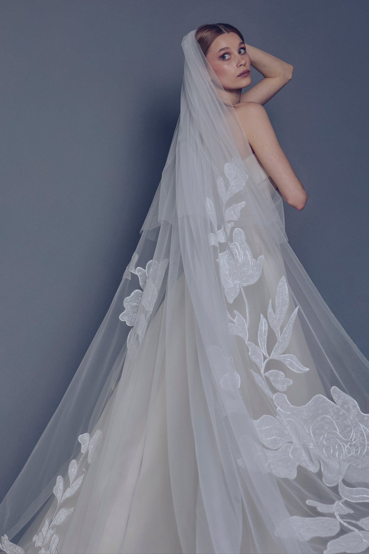 Drew Veil - Aerenica