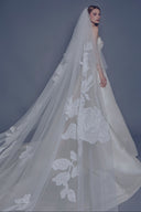 Drew Veil - Aerenica